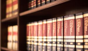 Leia mais sobre o artigo Artigo 2